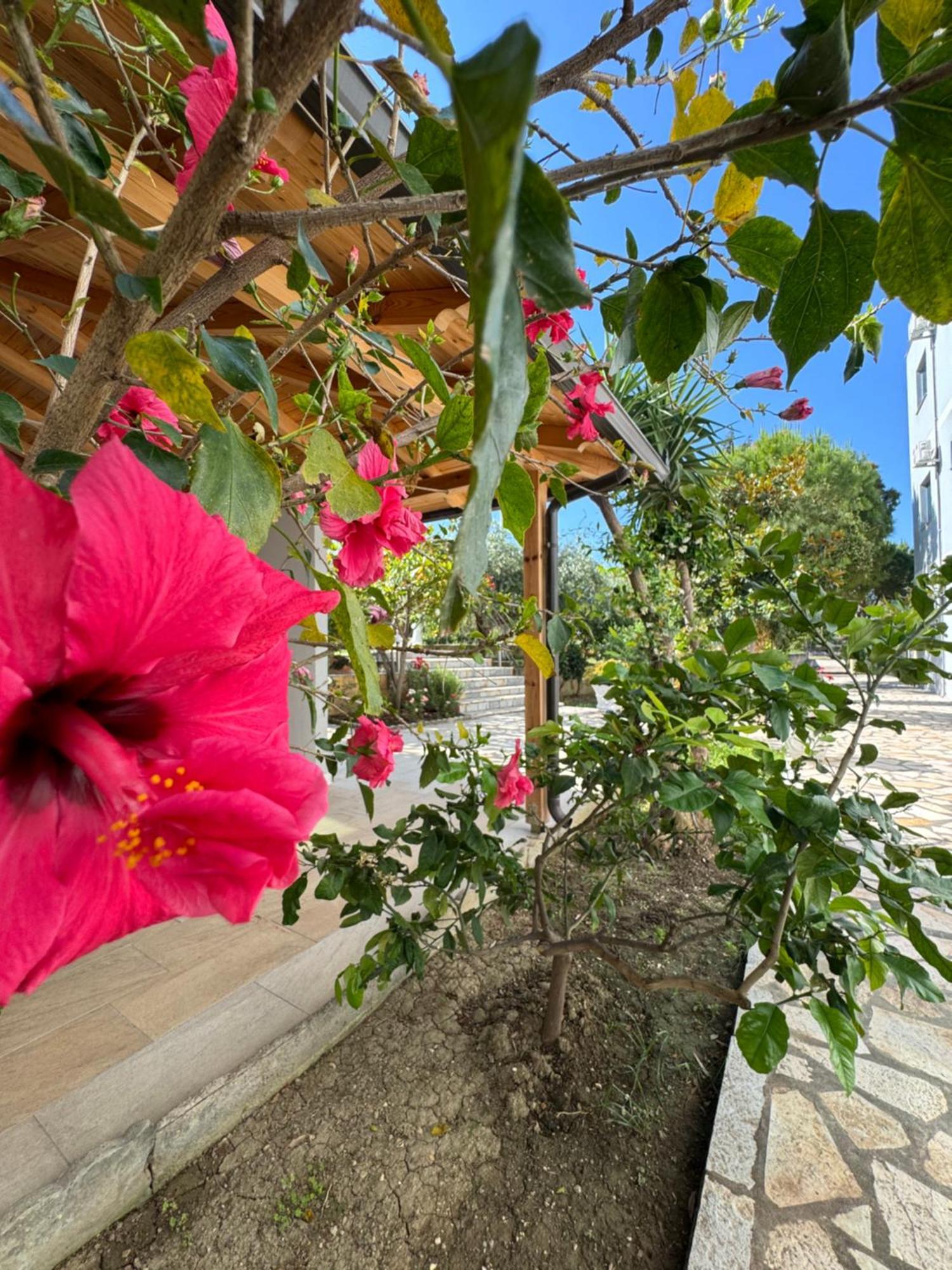 Hotel Cekodhima Radhima Kültér fotó